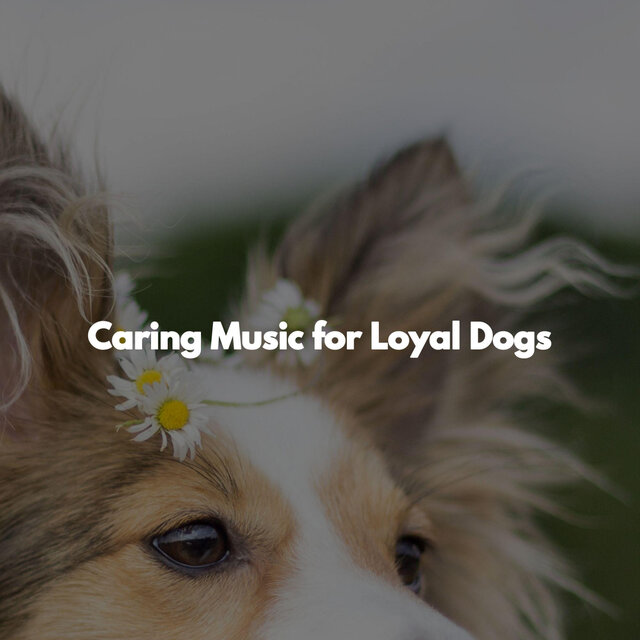 Caring Music for Loyal Dogs