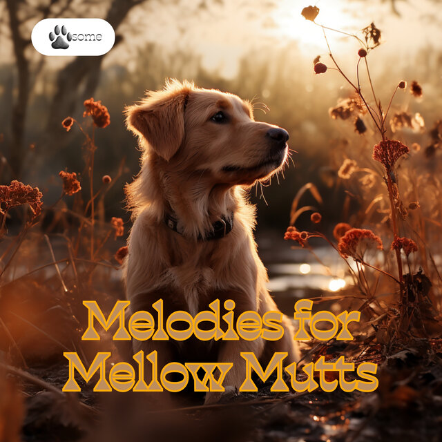 Melodies for Mellow Mutts: Dog Calming Music