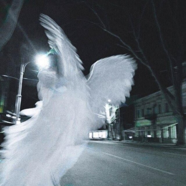 Angel
