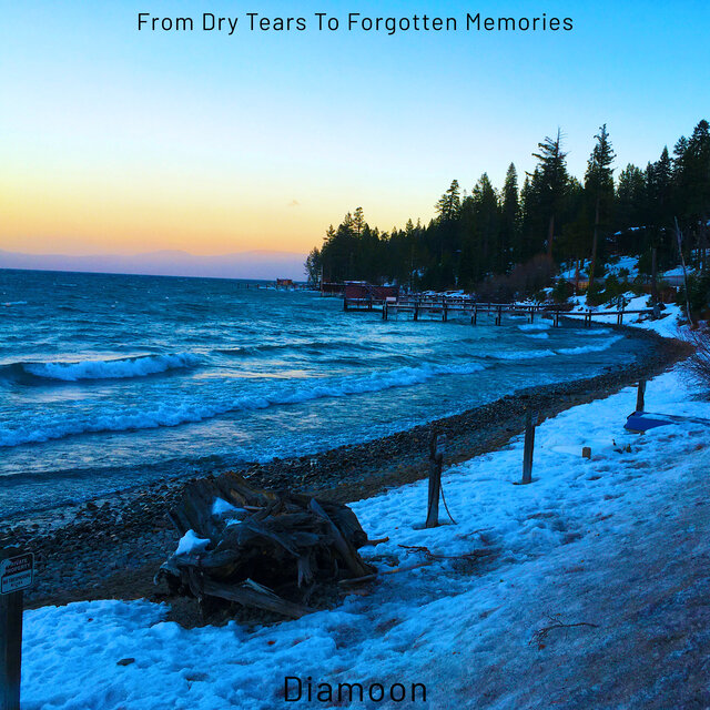 From Dry Tears to Forgotten Memories