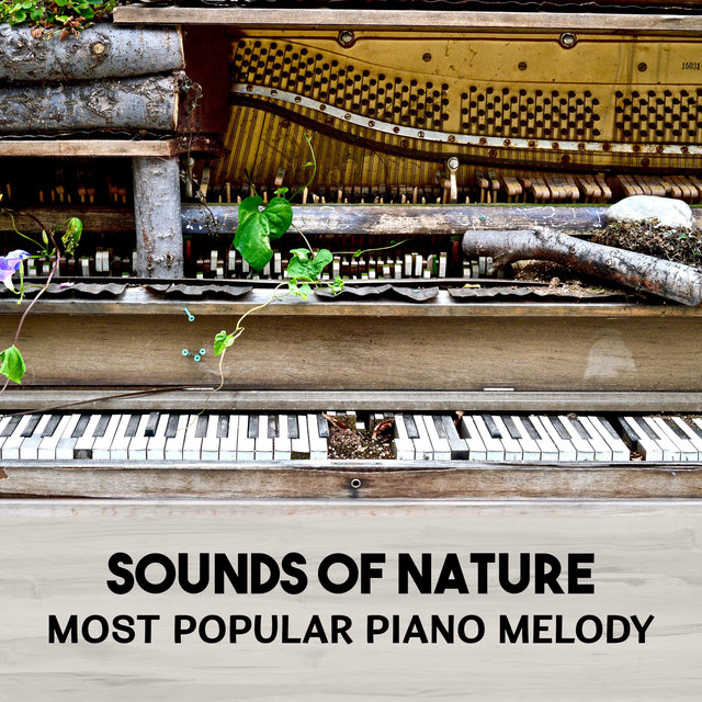 Sounds of Nature – Most Popular Piano Melody – Music for Relaxation, Total Relaxing Music for Evening Mindfulness Meditation