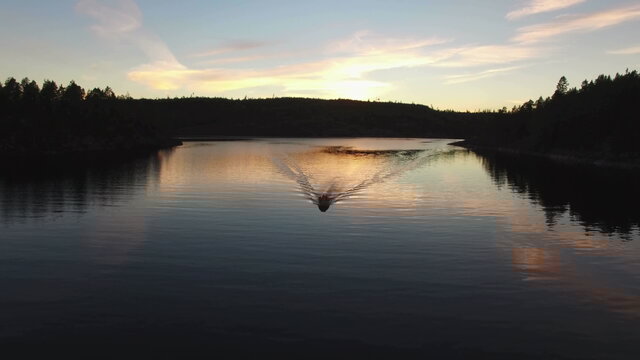 Daddy's Gone Fishing (Visualizer)