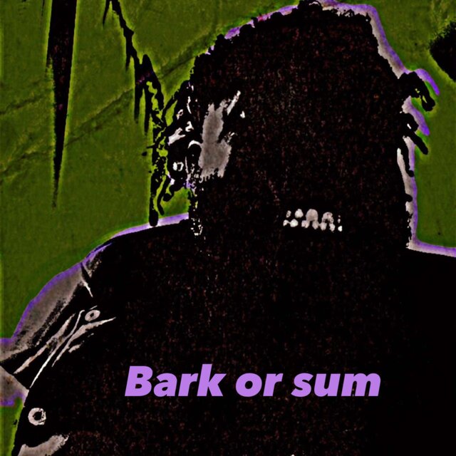 Bark Or Sum