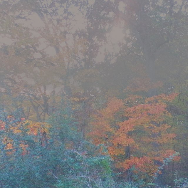 Autumnal Meditations, Vol. 2