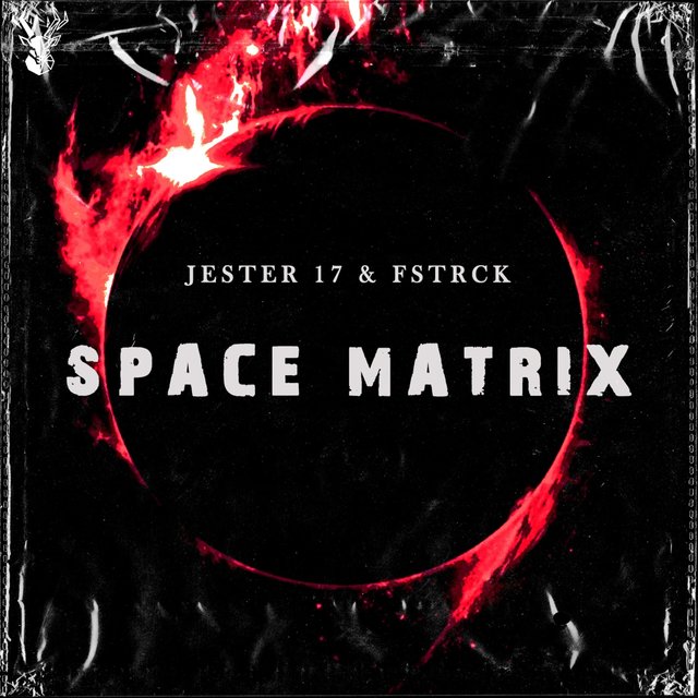 Space Matrix