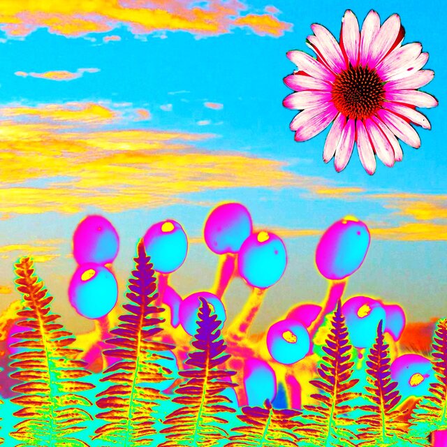 Sonic Vibes For Scenic Views, Vol. 17