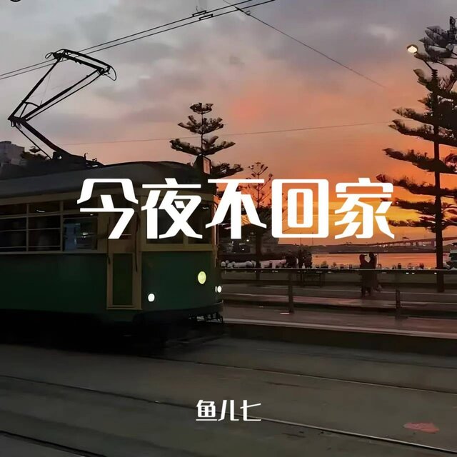 今夜不回家