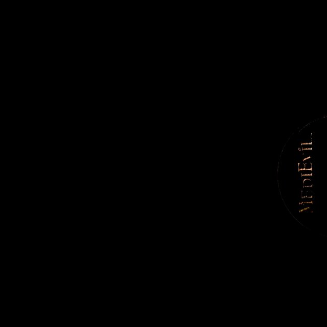 DISK_1_MEDIEVIL_