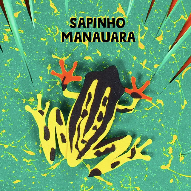 Sapinho Manauara