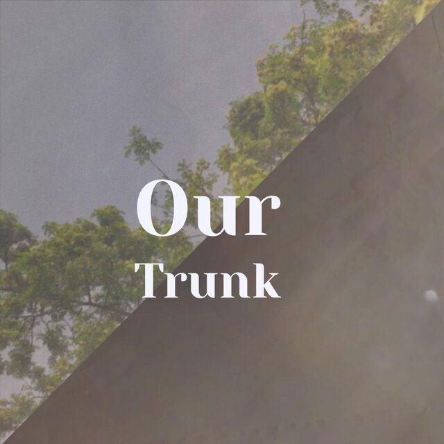 Our Trunk