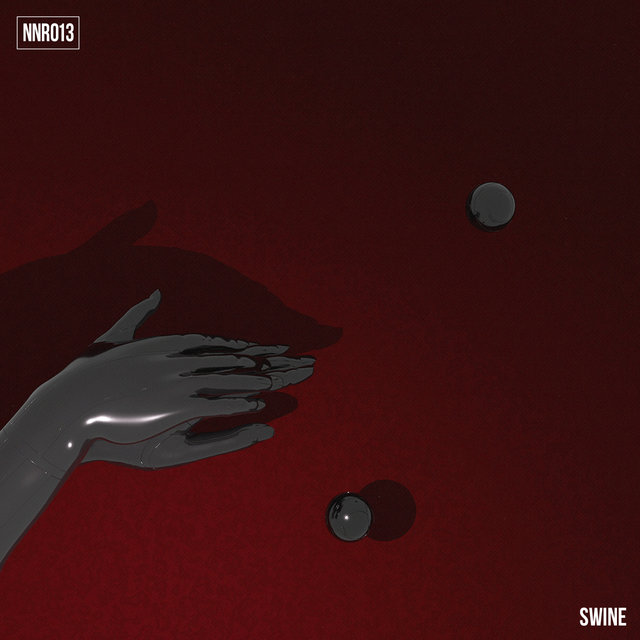 Swine