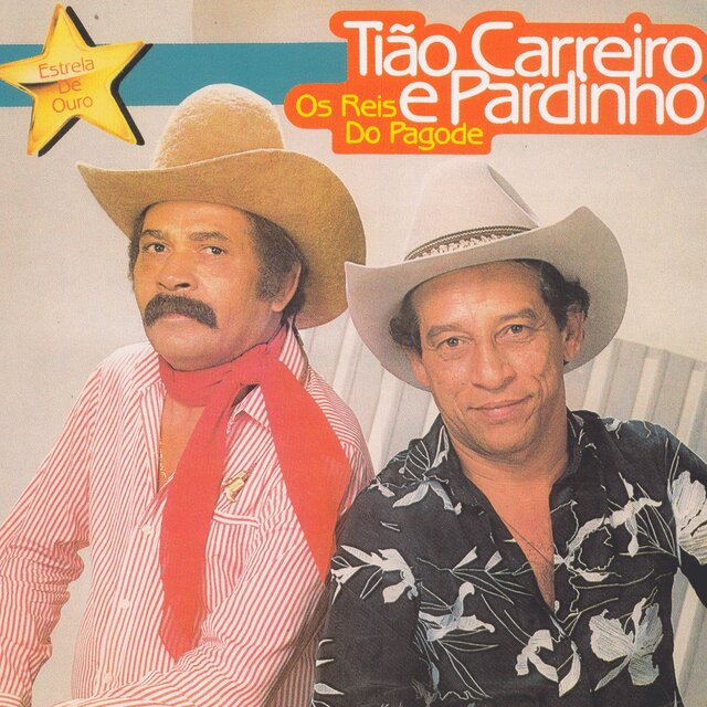 Estrela de Ouro (Os Reis do Pagode)