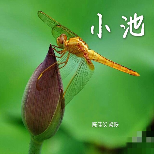 小池
