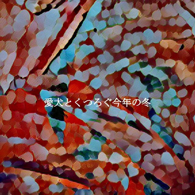 愛犬とくつろぐ今年の冬