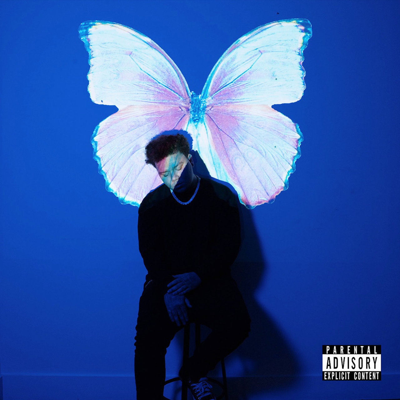The Butterfly Effect / Phora - TIDAL