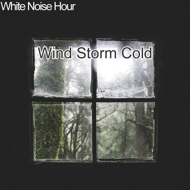Wind Storm Cold