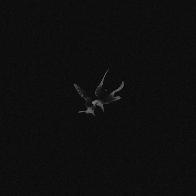 Bird (feat. Goremadeit)