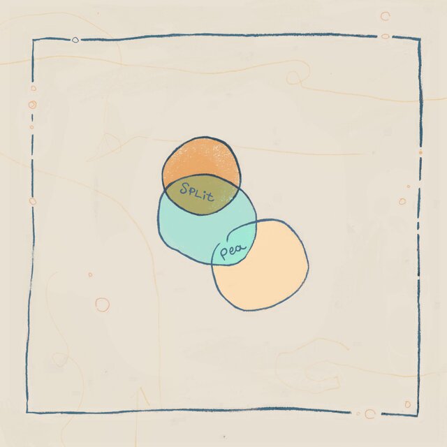 split pea