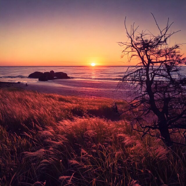 Chill Lofi for Soft Vibes