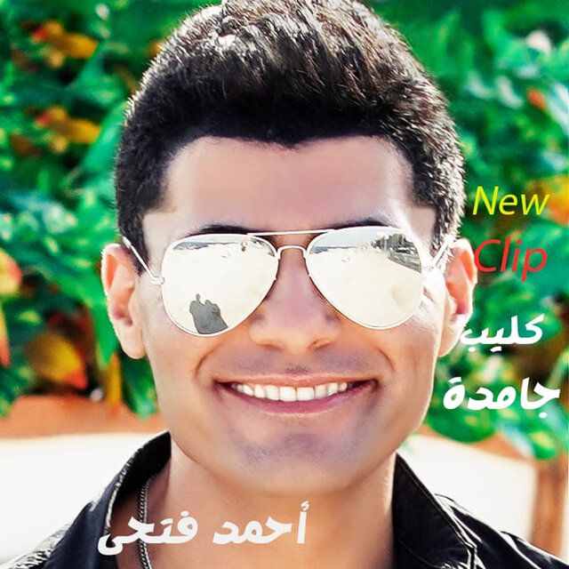 جامدة