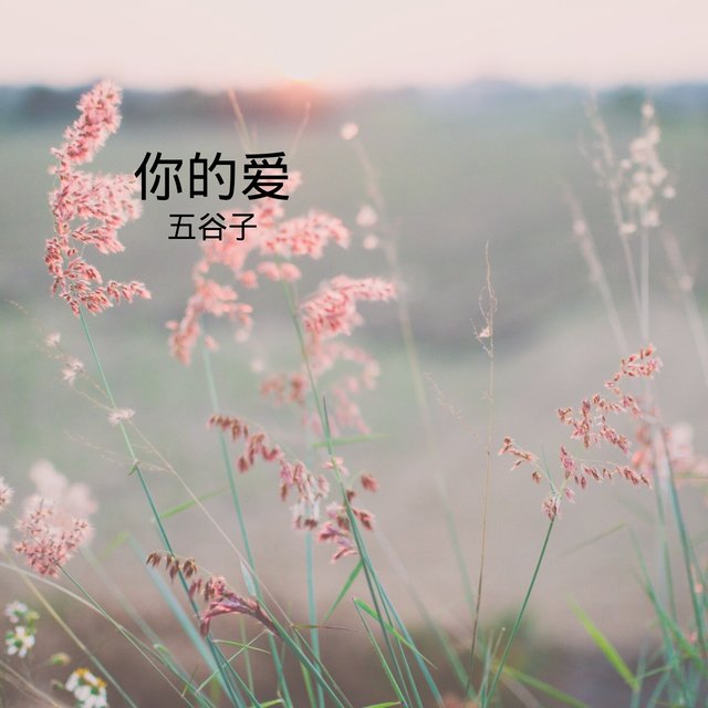 你的爱