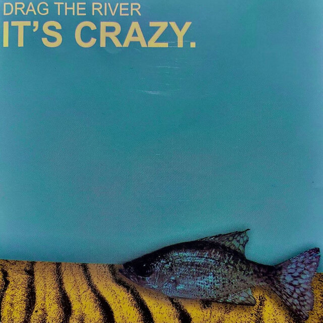 It's Crazy.