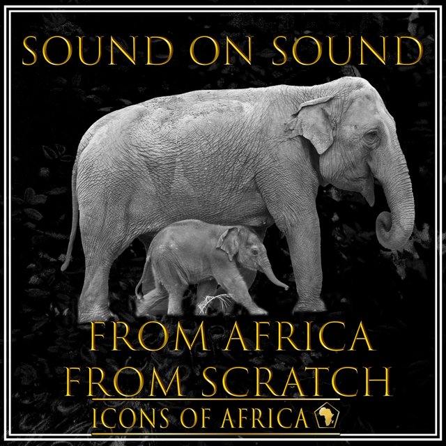 From Africa From Scratch