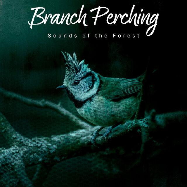 Branch Perching
