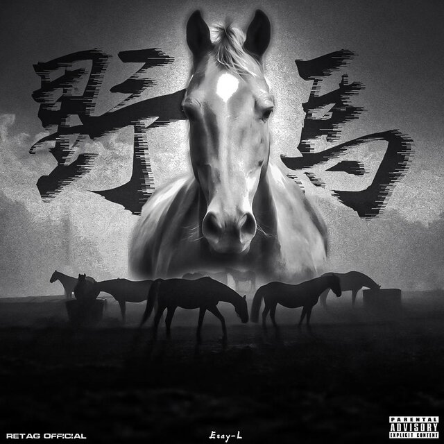 野馬（Prod.mvdaa）