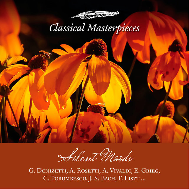 Silent Moods (Classical Masterpieces)