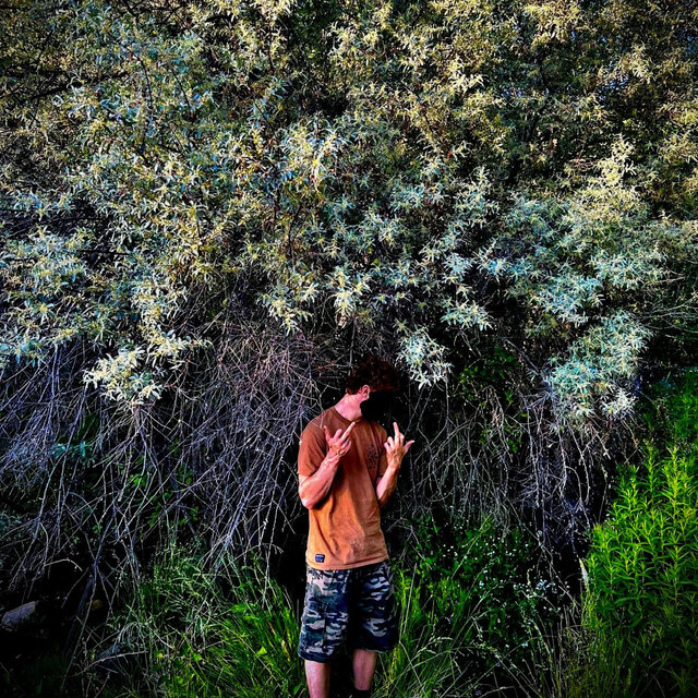 TreeGrowth