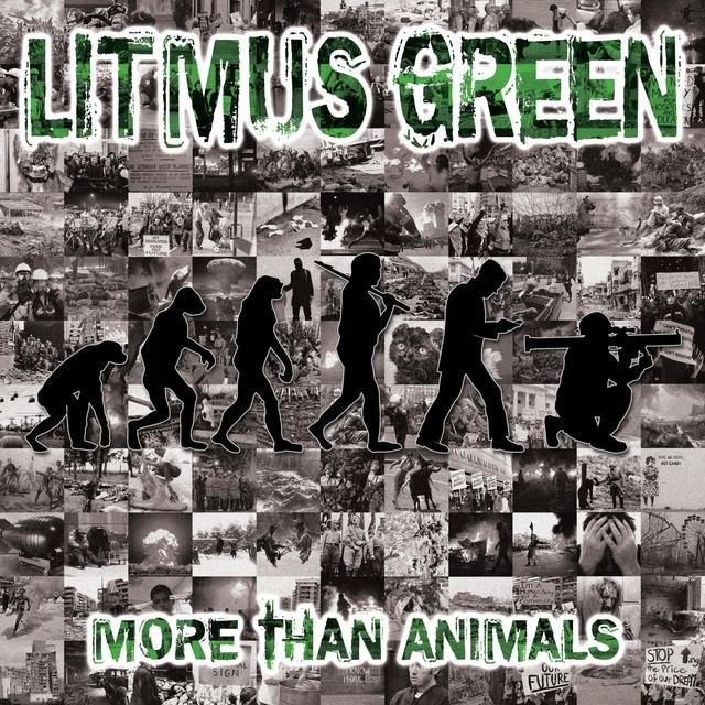 More Than Animals