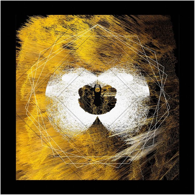 Colli (Insects Theory Remix)