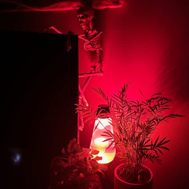 Cover art for album October 2025 by User