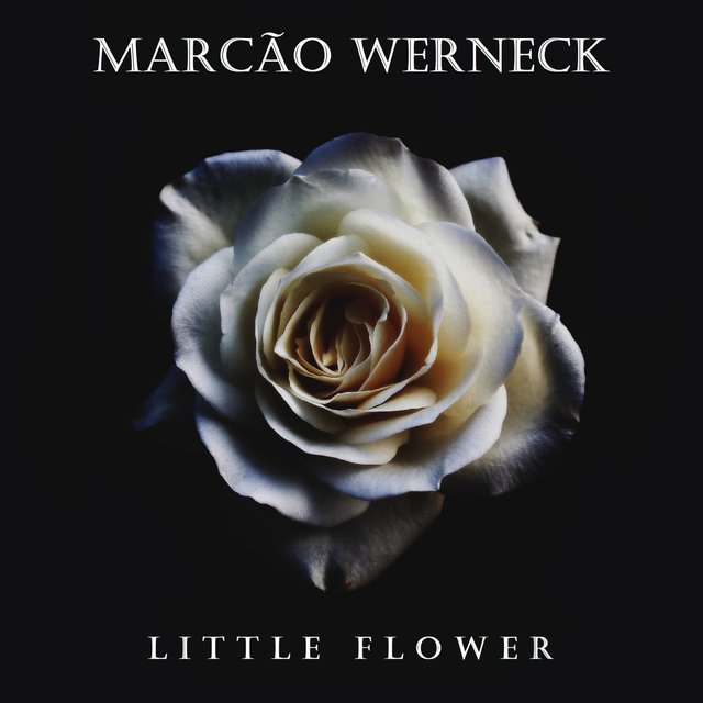 Little Flower
