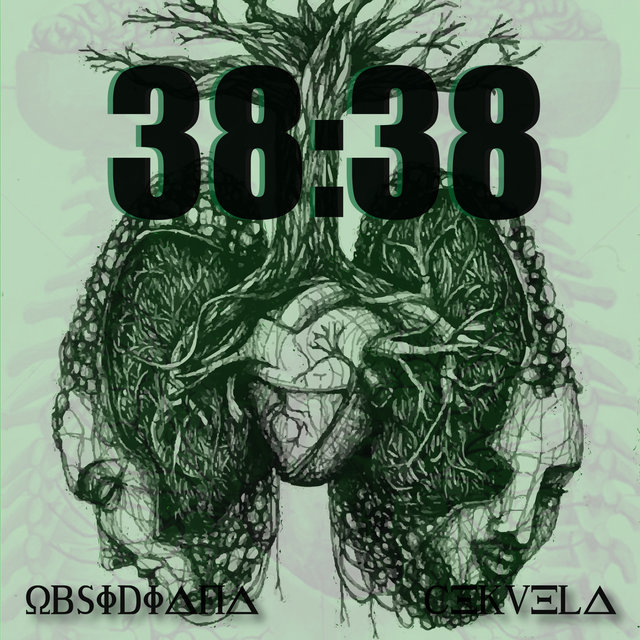 38:38