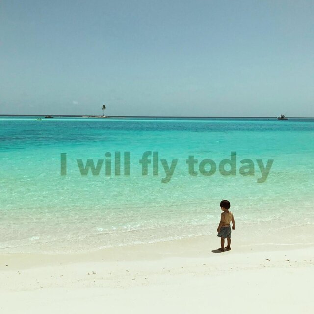 I will fly today