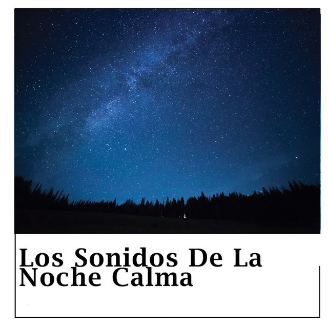 Los Sonidos De La Noche Calma