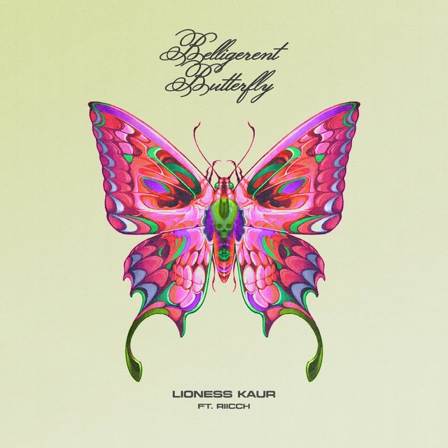 Belligerent Butterfly (feat. Riicch)
