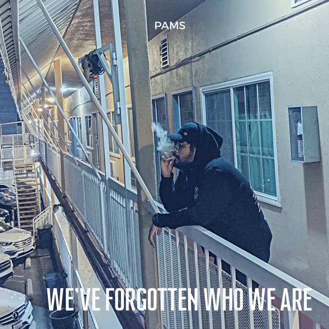We've Forgotten Who We Are