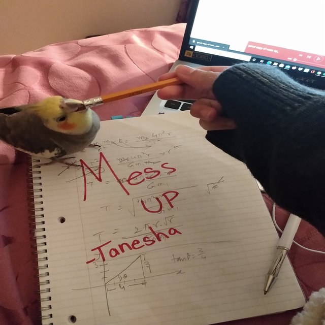 Mess up (Demo)