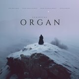 Concerto for 2 Pianos and Orchestra, BWV 1060: II. Adagio