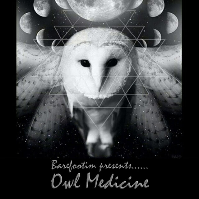 Owl Medicine