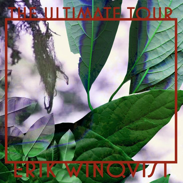 The Ultimate Tour