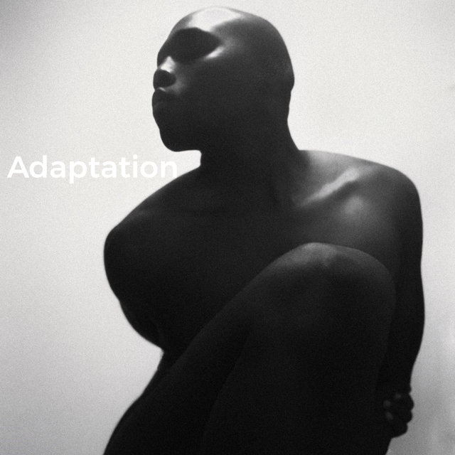 Adaptation