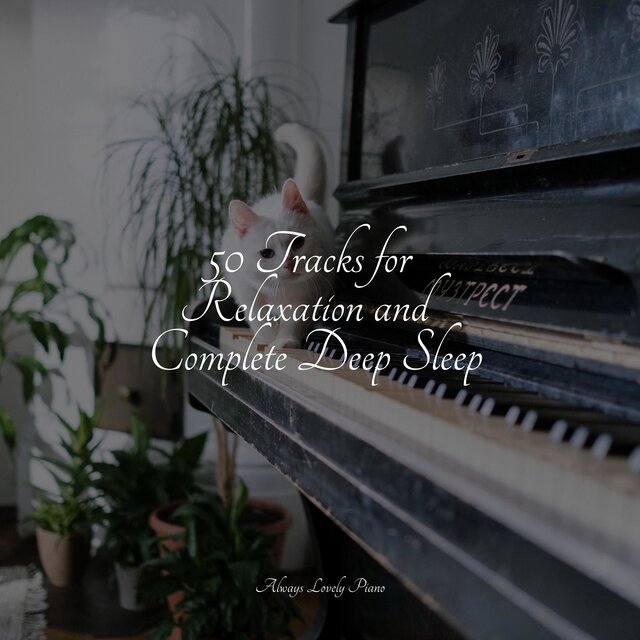 50 Soft Songs for a Calm Sleep