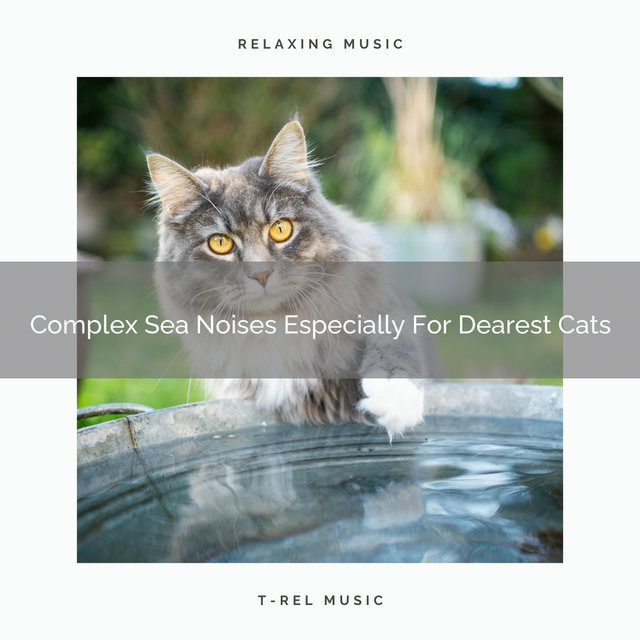 Complex Sea Noises Especially For Dearest Cats