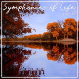 Organ Concerto No. 1 In F Major, Op. 137: Finale. Con Moto
