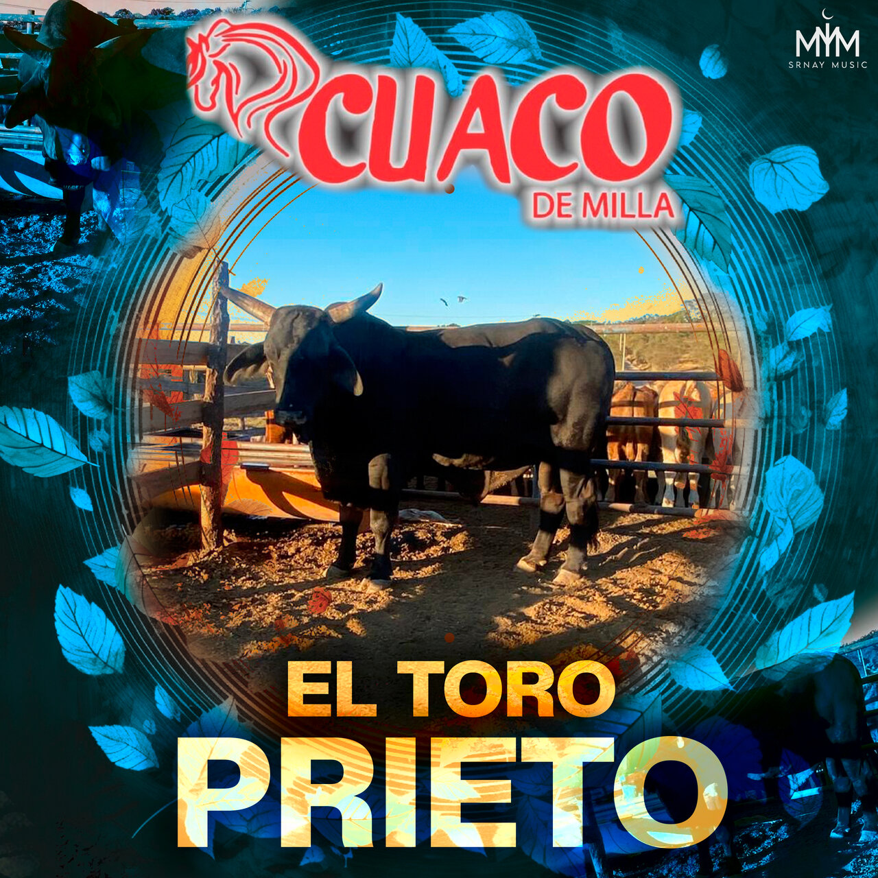 Cuaco de Milla on TIDAL