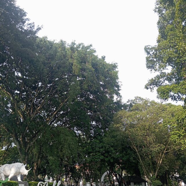 masumasung